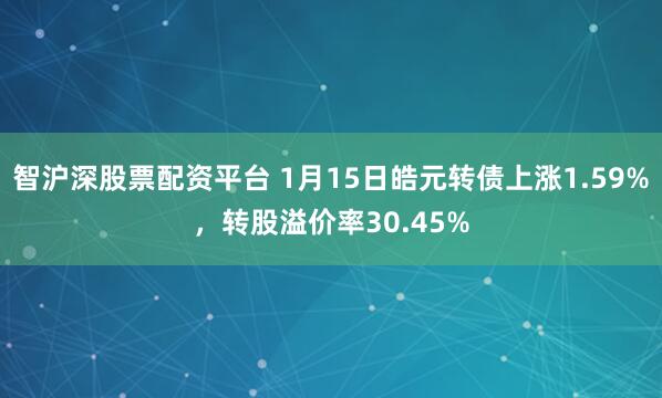 智沪深股票配资平台 1月15日皓元转债上涨1.59%，转股溢价率30.45%