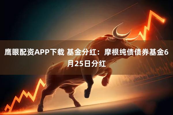 鹰眼配资APP下载 基金分红：摩根纯债债券基金6月25日分红