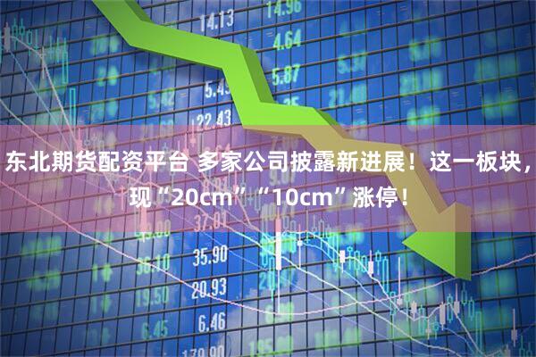 东北期货配资平台 多家公司披露新进展！这一板块，现“20cm”“10cm”涨停！