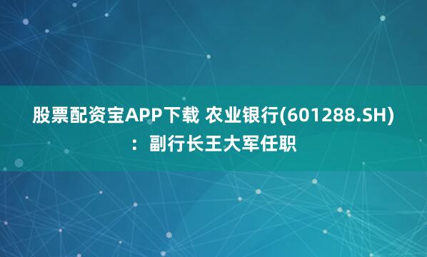 股票配资宝APP下载 农业银行(601288.SH)：副行长王大军任职