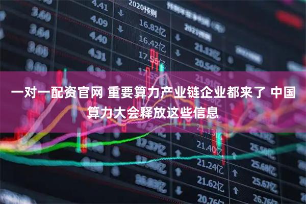 一对一配资官网 重要算力产业链企业都来了 中国算力大会释放这些信息