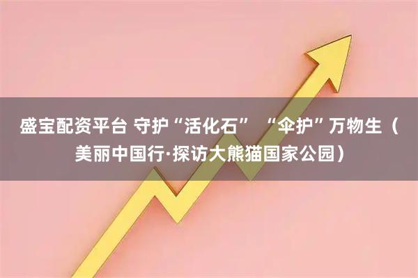 盛宝配资平台 守护“活化石” “伞护”万物生(美丽中国行·探访大熊猫国家公园)